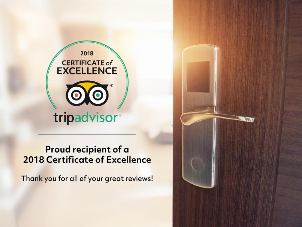 Minerva Downtown Hostel Main image